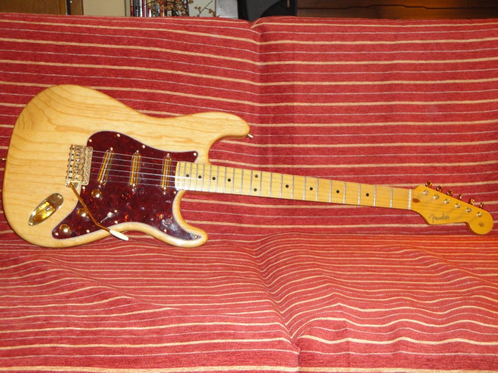 2010_strat_project_4.thumb.JPG.737cae850a4bfd209285f6d96b94be84.JPG