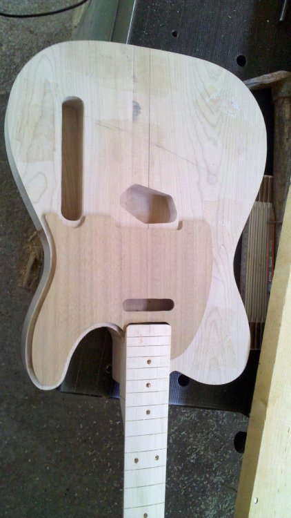 4_pickguard.thumb.jpg.50e1b783ae703e0b46b5f3abbb8f84a9.jpg