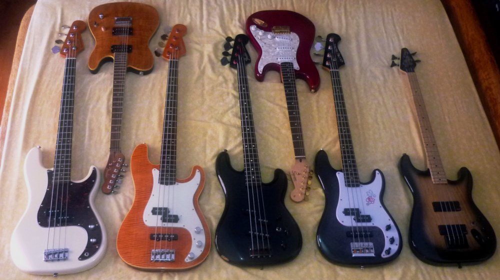 Bass_Family_2.thumb.jpg.d481cd0498e9db54e14076b80f0c800c.jpg