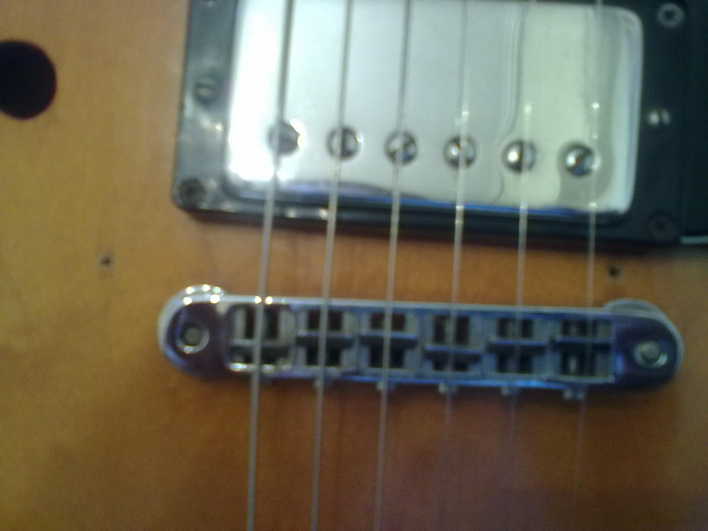 ES-335.thumb.jpg.a9eb902910415876e2a6d8f18ca1b525.jpg