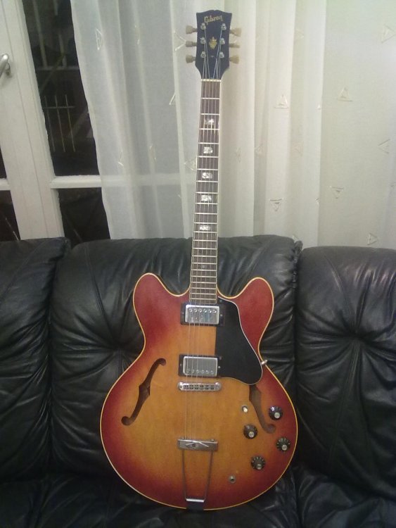 ES-335_1.thumb.jpg.944aabcf638857357fb7305e9cca9483.jpg