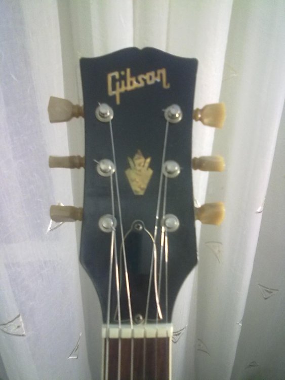 ES-335_4.thumb.jpg.16825f958b8e8838068daad5b4c047ea.jpg