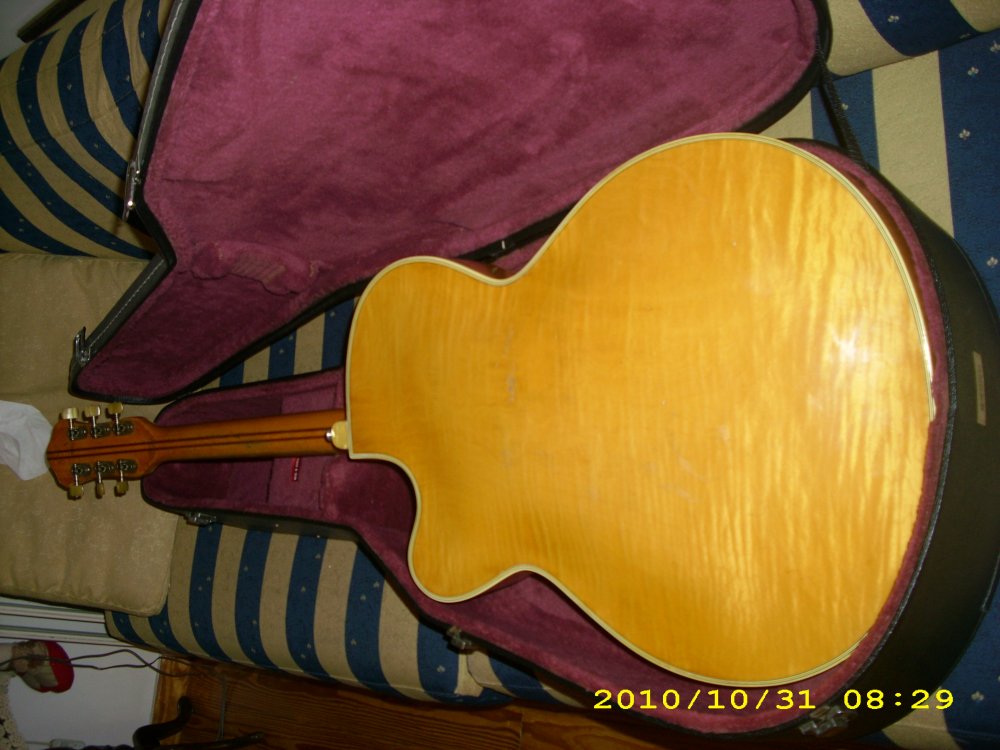 HOFNER_PRESIDENT_BACK.thumb.JPG.31569eab8ec20b52f57f0ad53a4a38d1.JPG