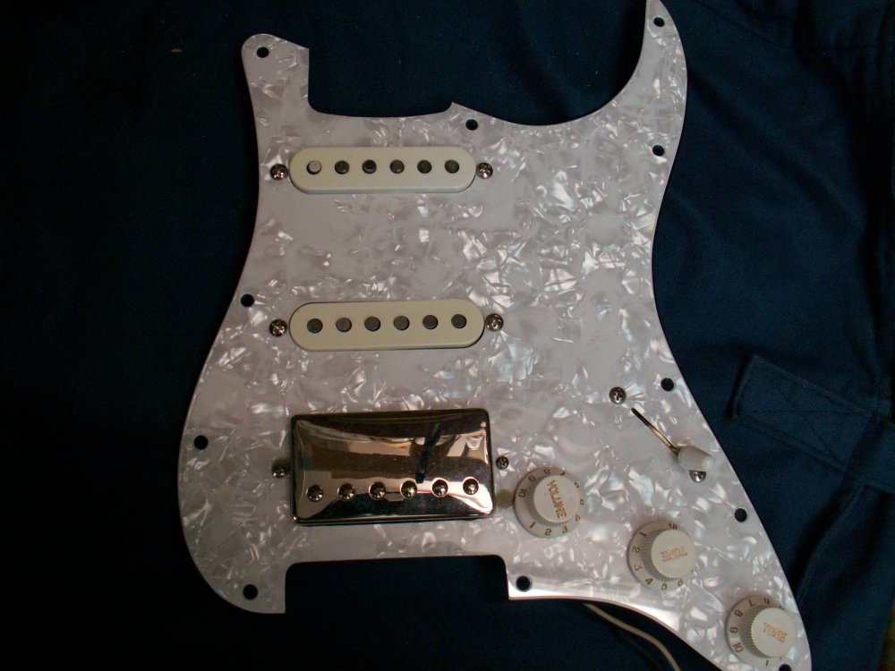 PICT1093.thumb.JPG.c022e35b91ad3af79b9b8a80e14e1313.JPG