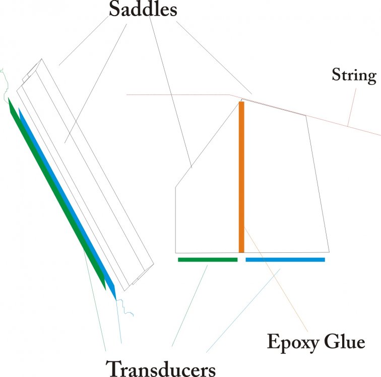 WS_Double_Saddle_Pickup_System.thumb.jpg.91ba0d4de7f13cb035e6b8dfb6dabef0.jpg