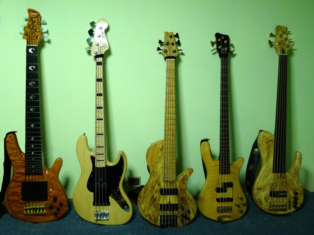 basses.thumb.jpg.5304890c7e2ca03088e523466ce6f4a8.jpg