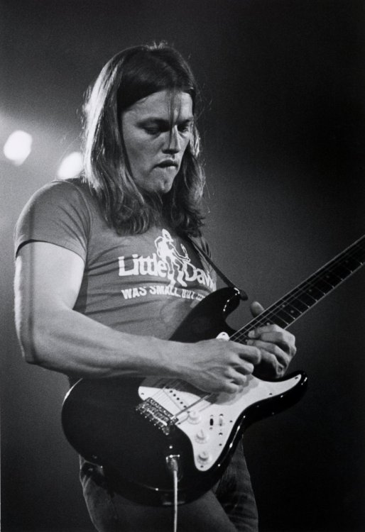 david_gilmour_before.thumb.jpg.e97c4994dea1cf4a9f6d0dd860269fc7.jpg