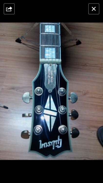 fakegibsonZakk_1.thumb.jpg.7357aa871824dc2933299b73f0439d07.jpg