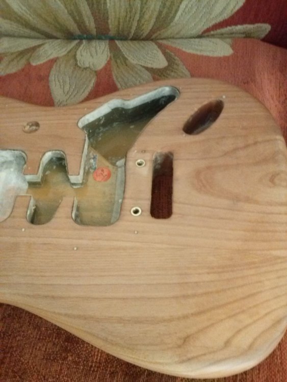 fender_6.thumb.jpg.16f88b941342f055916fd314bd11ab69.jpg