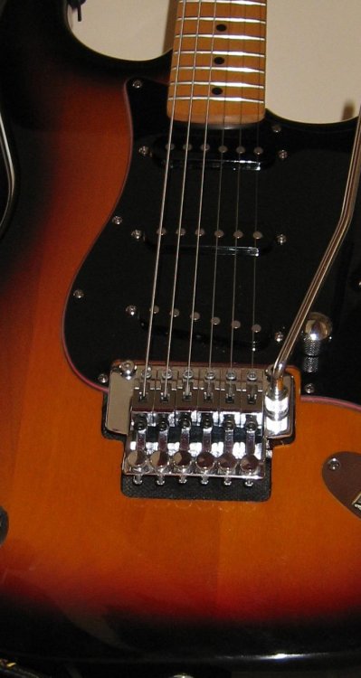 fender_routed_pic_1.thumb.jpg.e09c94be3457266d7067db37cdbd6e79.jpg