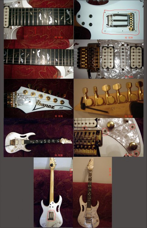 ibanez_jem_noiz.thumb.jpg.1951c869deb6e6518cb90643dc25dc2b.jpg