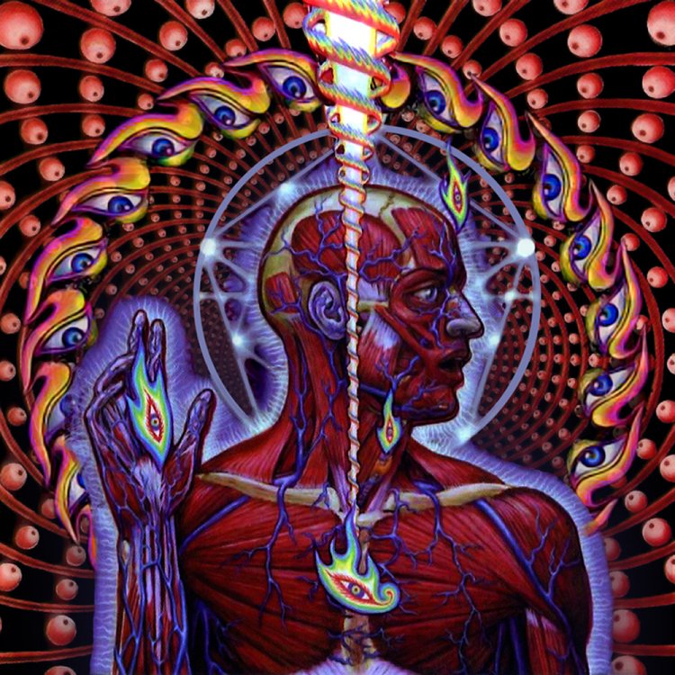 lateralus-51ffb2d506f20.thumb.jpg.3ba5a4c823df7ba5c9968188eb950c7d.jpg