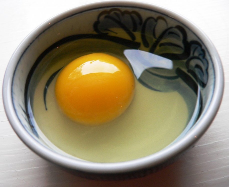 raw-egg-1024x837.thumb.jpg.1d6395990d6d97f2dc7f560bd3263475.jpg