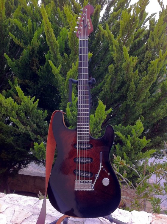 warmoth_hollow_harilatron_2.thumb.jpg.1c1af296ec2f86ffc966d5c99af89012.jpg