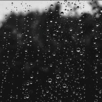 Περισσότερες πληροφορίες για "MY RAIN"